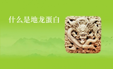 蚯蚓深度提纯 优质功能蛋白